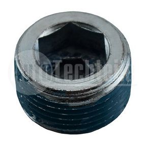 Пробка поддона Fiat Doblo 1.3 D Multijet / 1.4/1.6i 01-09 / Ducato 1.9 JTD 94-02 / Scudo / Peugeot Expert 1.6i 96-00  (M22x1.5