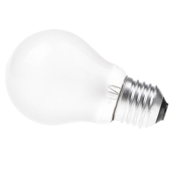 Лампа накаливания 100W E27 WW A55 FR 220V | Зображення 2