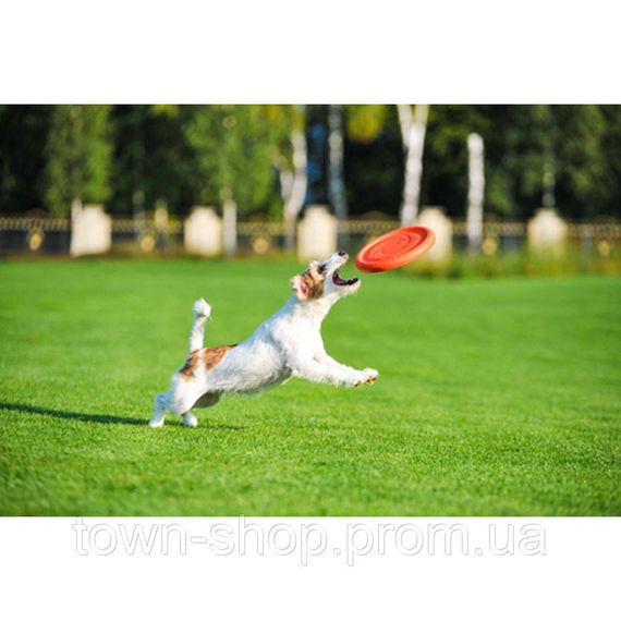 Игровая тарелка для апортировки PitchDog, диаметр 24 см розовый | Зображення 4