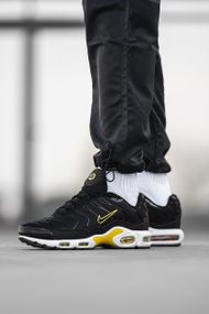 Кроссовки N-i-k-e Air Max TN 42