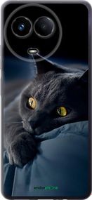 Чохол на Realme Realme 11 5G Димчастий кіт "825u-3175-2448"