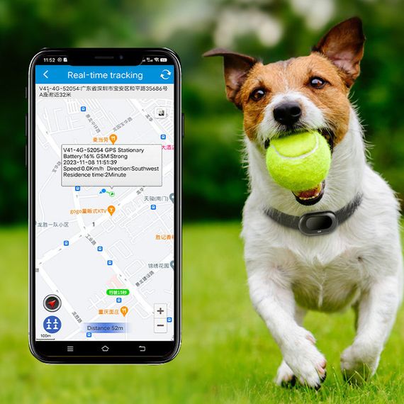 Трекер GPS для тварин V41 Pet Tracker SIM (4GLTE+3GWCDMA+2GGSM) 1300mAh Black Технічка, white | Зображення 3