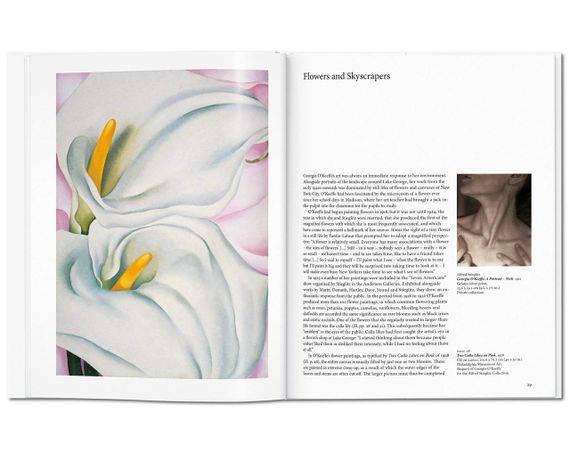 Книги для художников живопись Джорджии О’Кифф O'Keeffe. Britta Benke, Taschen книги про искусство на | Зображення 5
