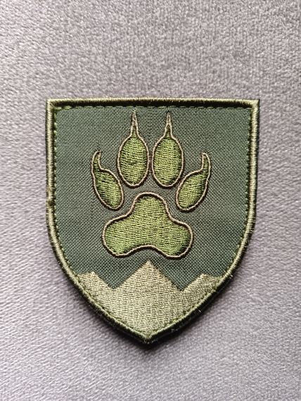 Шеврон 15 ОГШБ