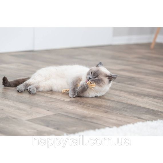 Іграшка Trixie для котів Палиця з мататабі з китицями 24 см | Зображення 2