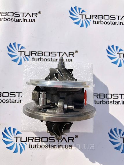 Картридж турбіни АУДІ AUDI A4/A6 TDI, Двигун (AFV/AWX/ASZ) 717858-0001, 716215-0001, 712077-0001 | Зображення 1