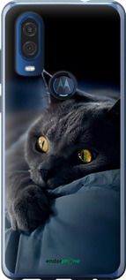Чохол на Motorola One Vision Димчастий кіт "825u-1782-2448"