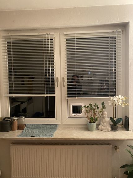 SureFlap Мікрочипні розумні дверцята для котів з контролем доступу білі захист від чужих тварин DualScan RFID-мітки | Зображення 8