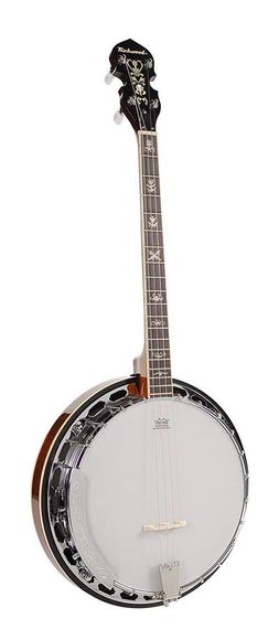 Банджо Richwood RMB-904