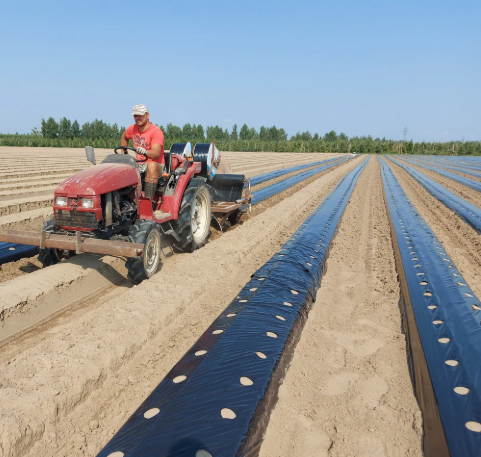 Плівка Мульча Shadow 30 мкм 1,2 м*10 м в  плівка поліетиленова для мульчування пакетована | Зображення 4