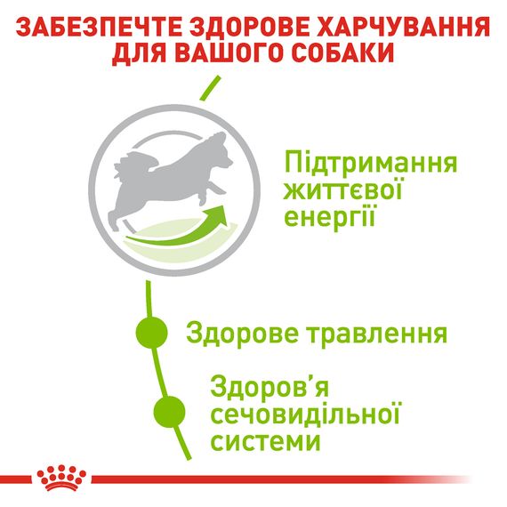 Сухий корм Royal Canin X-Small Adult 8+ для собак дрібних порід вагою до 4 кг старше 8 років 3 кг | Зображення 2