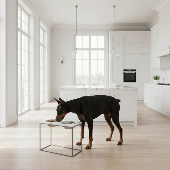 Миски на подставке для больших собак Hollky Base XL40 (2 × 1,8 л) BXL40-522640-GRWH | Зображення 1