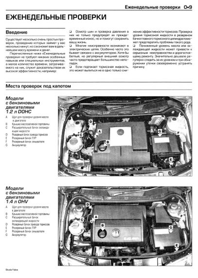 Skoda Fabia (Шкода Фабія). Посібник з ремонту й експлуатації. Книга | Зображення 4