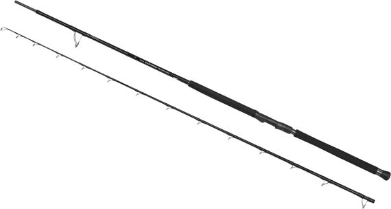 Спінінг Zenaq Muthos Accura 100H (RG) Type R 10’0/3.04m 30-200g