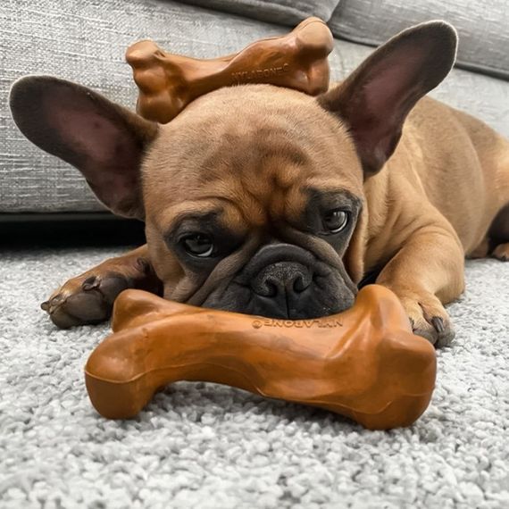 Іграшка для собак зі смаком яловичини Nylabone Strong Chew Rubber Bone Beef With Gravy, 12 см | Зображення 2