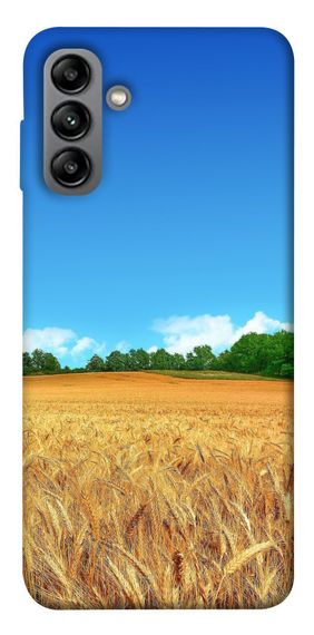 Чохол IBANAN Пшеничне поле для Samsung Galaxy A04s
