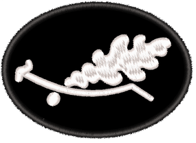 Шеврон Масонский