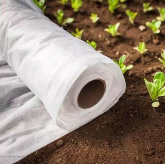 Агротканина Shadow 50 г/м² 1,6 x 50 м АВБР000281 | Зображення 7