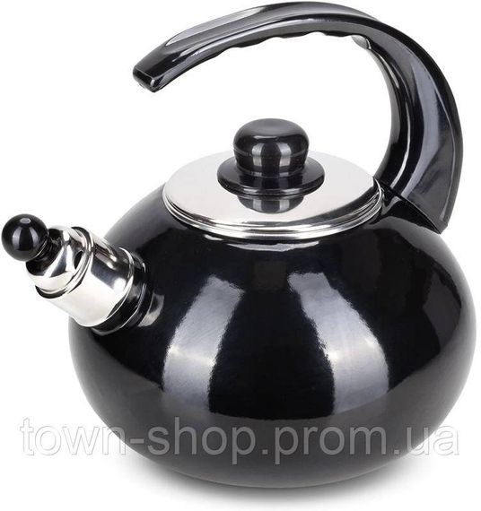 Чайник эмалированный Kamille "Boiling Water" 2.5л со свистком, черный глянец KM-1039A | Зображення 1