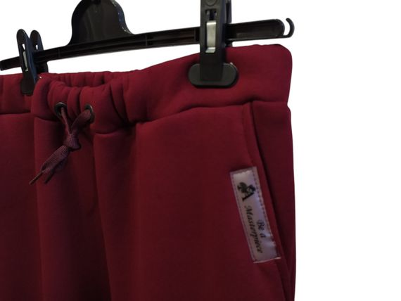 Спортивні чоловічі штани теплі зимові бордовий джогери штани тринитка з начосом 60 | Зображення 1