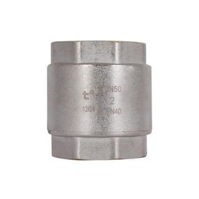 Зворотний клапан Thermo Alliance Standart 2" ВВ з латунним штоком TAS240W50