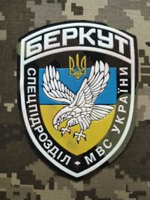 Шеврон Беркут / кольоровий великий