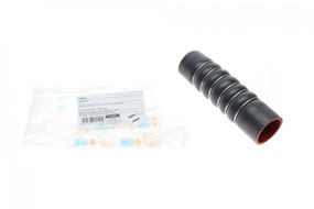 Патрубок интеркулера Renault Clio III 1.5 dCi 04- 16041