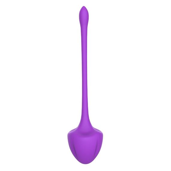 Набор вагинальных шариков Virgo purple sexstyle | Зображення 4