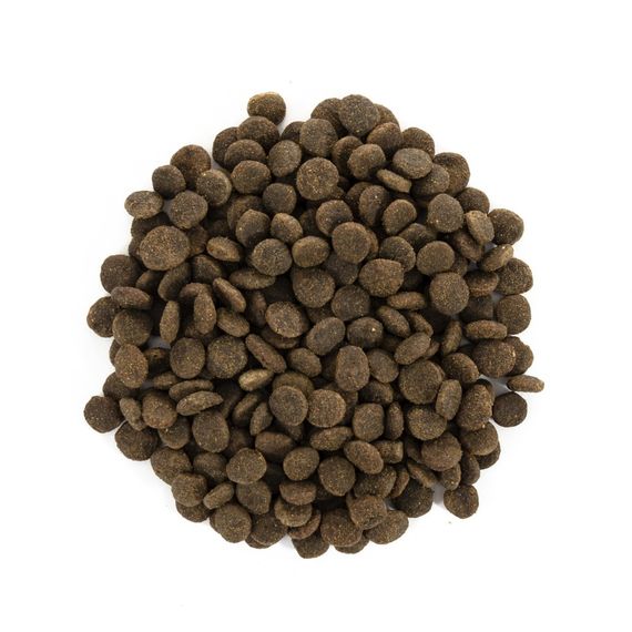 Корм сухий Brit Care Cat Grain Free Sterilized Sensitive для стерилізованих котів з чутливим травленням з кроликом 400 г | Зображення 1