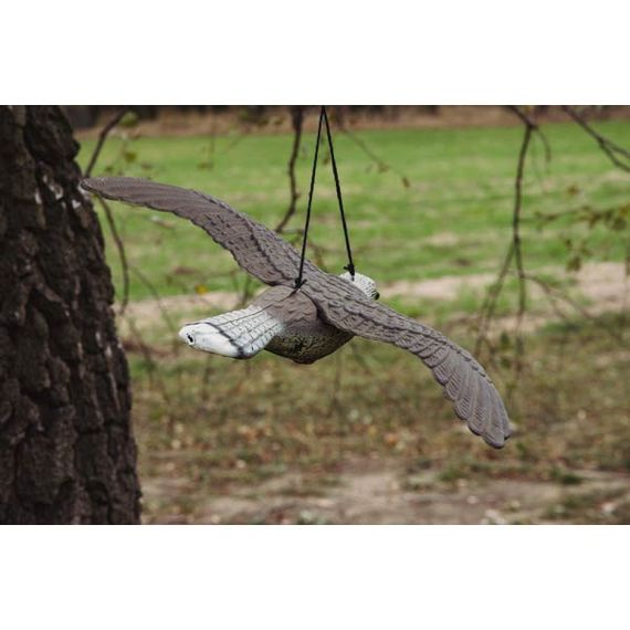 Відлякувач птахів Bradas Сокіл у польоті 54 х 35 х 8 см CTRL-BR104 | Зображення 2