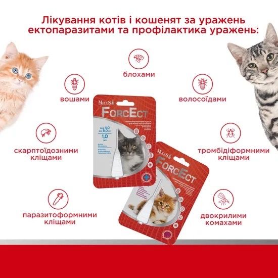 Протипаразитарні краплі для котів вагою до 4 кг ModeS ForcEct, 1 піп | Зображення 1