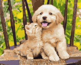 Маленькі друзі