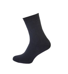 Шкарпетки махрові чоловічі зимові Twinsocks р.39-40 (25), 41-42 (27) сірі, сині Сірий, 25 / M / 38-40