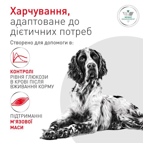 Royal Canin Glycobalance Dog сухой корм для собак с сахарным диабетом 1.5 кг | Зображення 1