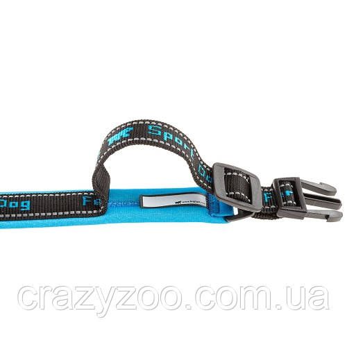 Нашийник для собак Ferplast Sport Dog С25/65 нейлоновий блакитний 2.5х55-65 см 78004225 | Зображення 1