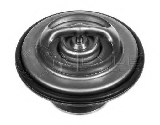Термостат BMW (вир-во MEYLE) MEYLE 0282800004 на BMW 3 седан (E30)