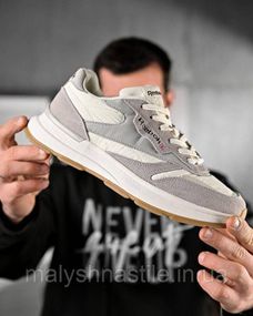 Мужские кроссовки reeb grey/ beige 4   ДЛ6463