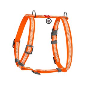 Шлея для собак водостійка анатомічна Н-подібна WAUDOG Waterproof з QR-паспортом, світловідбивна, пластикова пряжка-фастекс, S, помаранчевий