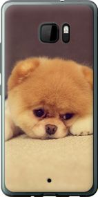 Чехол на HTC U Ultra Boo 2 "890u-833-17620"