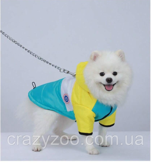 Куртка для собак и котов EcoToys Yellow-Blue S желто-голубая A: 26 см B: 41 см C: 26 см 6923 | Зображення 2