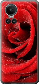 Чехол на Oppo Reno10 Pro Красная роза "529u-3109-17620"
