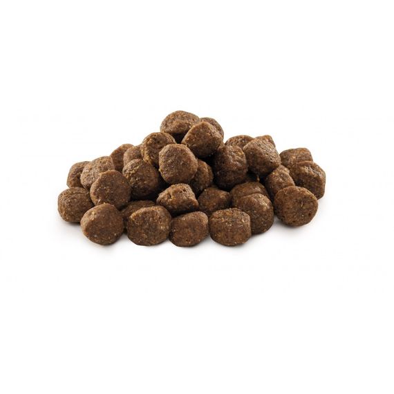 Корм сухий Brit Premium Dog Junior M для цуценят та молодих собак середніх порід від 1 до 12 місяців вагою 10-25 кг з куркою | Зображення 1