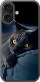 Чохол на iPhone 16 Димчастий кіт "825u-3709-2448"