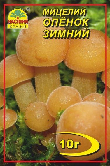 Опеньок зимовий 10 г