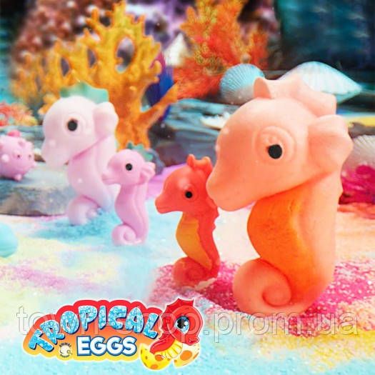 Растущая игрушка в яйце «Tropical Eggs» - Жители тропических морей (13 шт., в дисплее) | Зображення 3