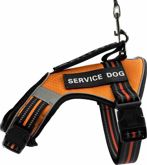 Шлейка для собак Service Dog S, M, L, XL, Оранжевая, Шлей для собак, Нагрудник для средних пород | Зображення 2