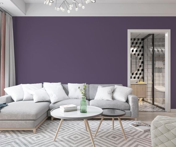 Краска Интерьерная Латексная Skyline 5020-R70B Баклажан 1л | Зображення 2