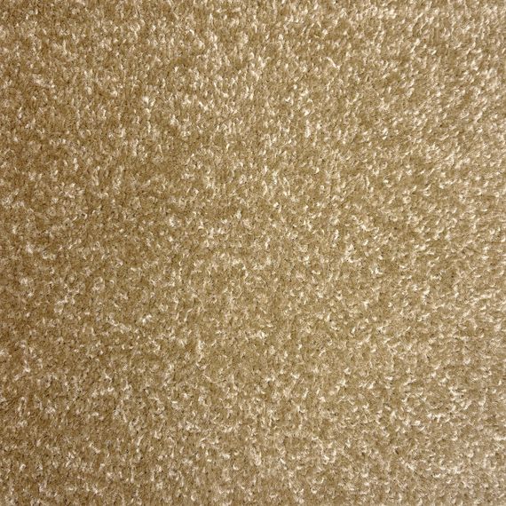 Недорогий ковролін AW Duster 41  ширина 3 м