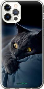 Чохол на iPhone 12 Pro Димчастий кіт "825u-2052-2448"