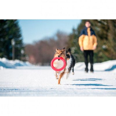 Игрушка для собак Collar PitchDog Кольцо для апортировки 20 см розовое (62377) | Зображення 6